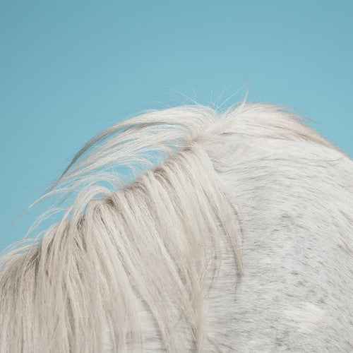 All Yours [Vinyl]