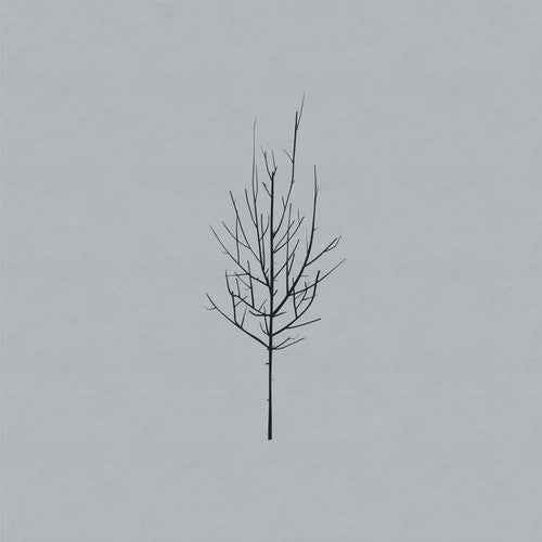 Ones and Sixes [CD]