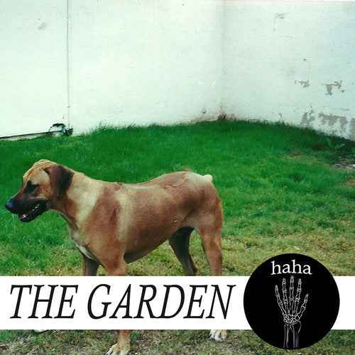 Haha [Vinyl]