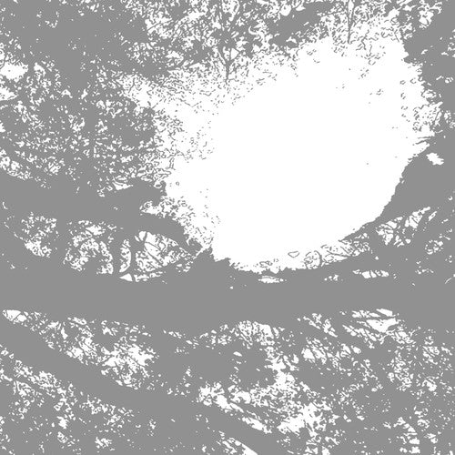 Comets On Fire - Field Recordings from the Sun [LP] Vinyl Record