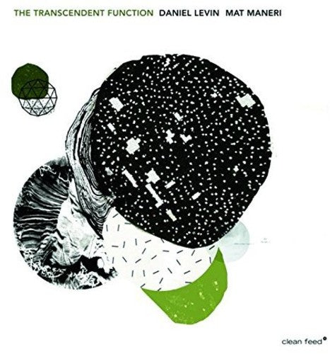 Daniel Levin - Transcendent Function [CD]