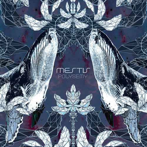 Polysemy [Colored Vinyl] [Limited Edition] [Download Included]