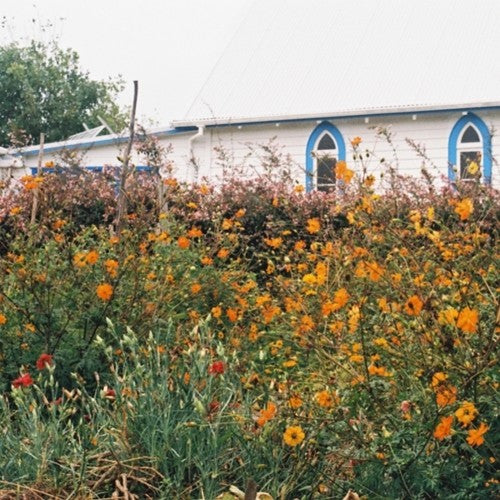 Kane Strang - Blue Cheese [LP] Vinyl Record
