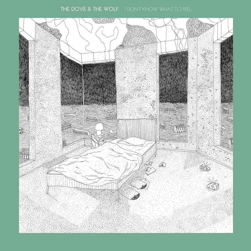 I Don't Know What To Feel [Vinyl]