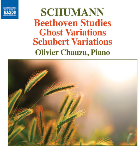 Robert Schumann / Chauzu,Olivier - Beethoven Studies Ghost Variations & Schubert Variations Music CD