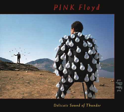 Delicate Sound Of Thunder (Live) [2 CD]
