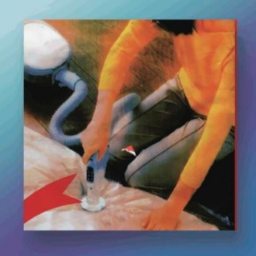 Eyes Of Love - Why Do You Look Like Your Dog? [CD]