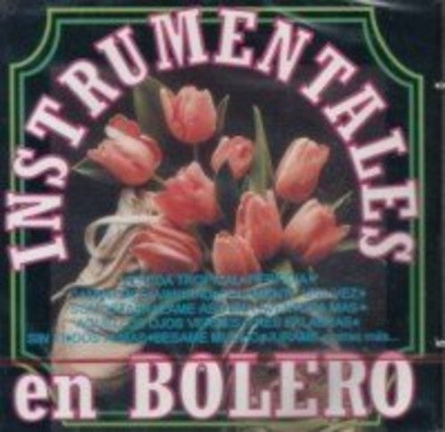 Intrumentales En Bolero / Various - Intrumentales En Bolero / Various Music CD