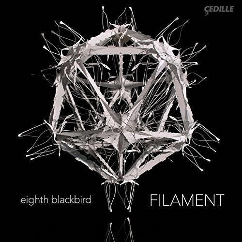 B Dessner / Eighth Blackbird - Filament [LP] Vinyl Record