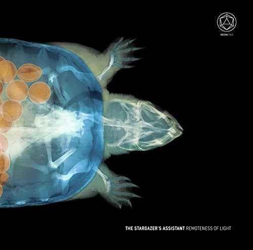 Remoteness Of Light [LP]