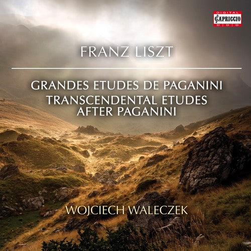 Wojciech Waleczek - Transcendental Etudes After Paganini [CD]