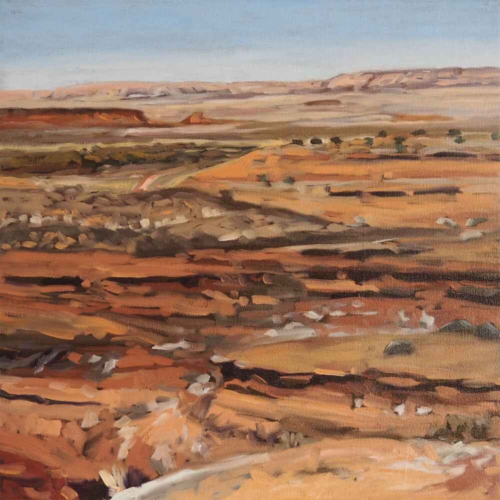 Northern Times [LP]