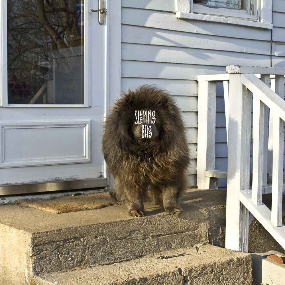 Sleeping Bag [LP]