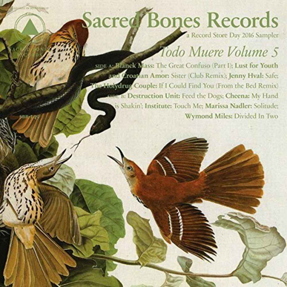TODO MUERE VOL 5 / VARIOUS [LP]