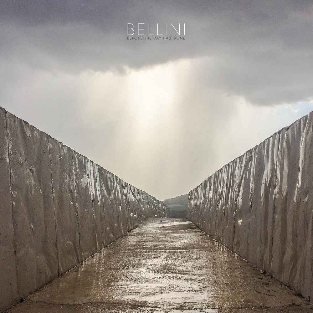 Before The Day Has Gone [Colored Vinyl] (Can)