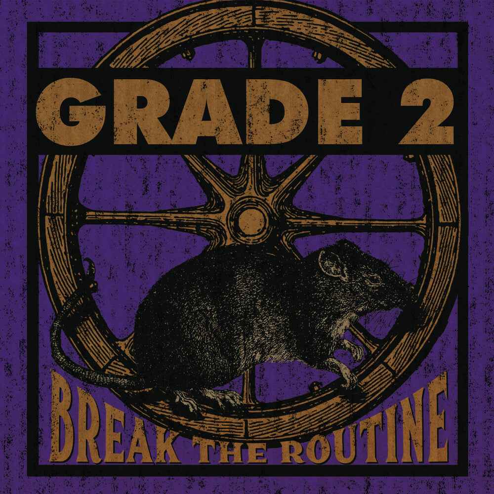 Break The Routine [LP]