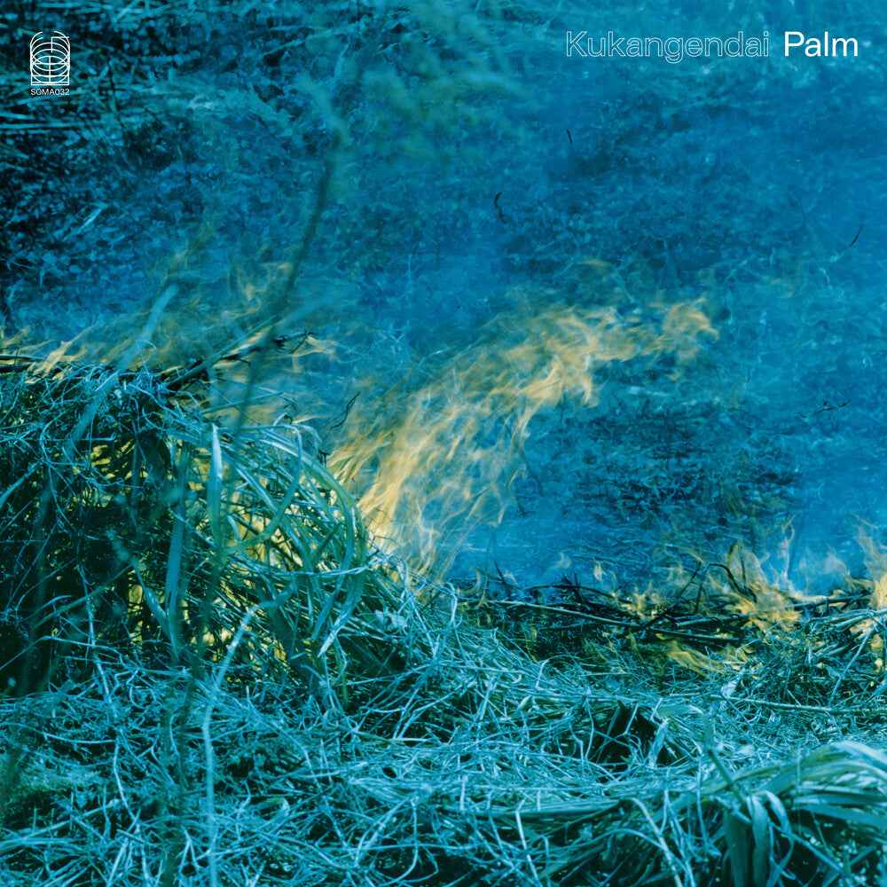 Palm [LP]