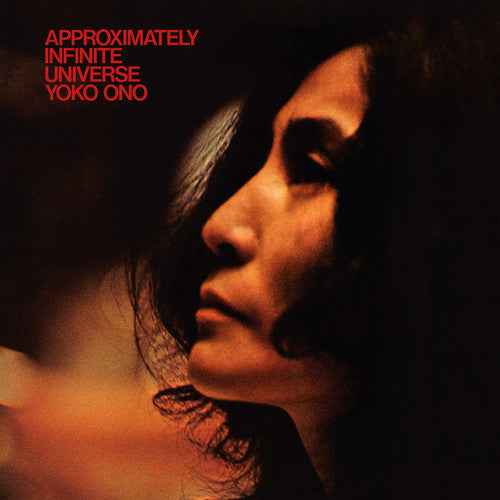 Approximately Infinite Universe [2LP]