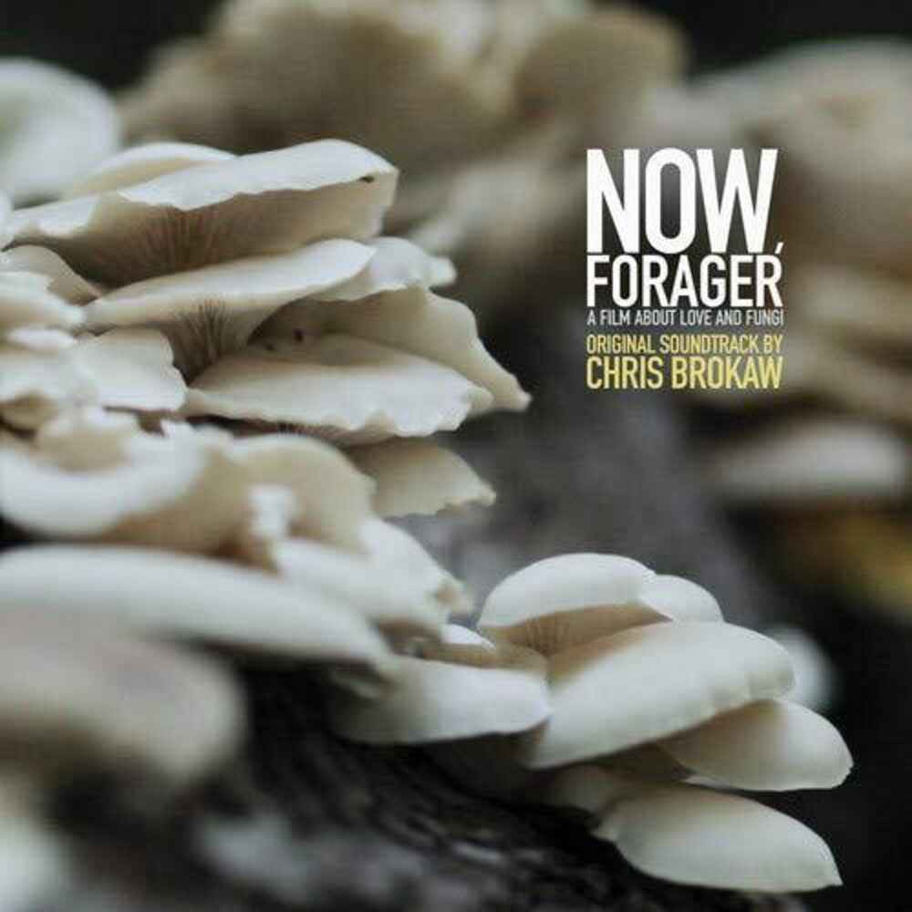 Now Forager (Original Soundtrack) [LP]