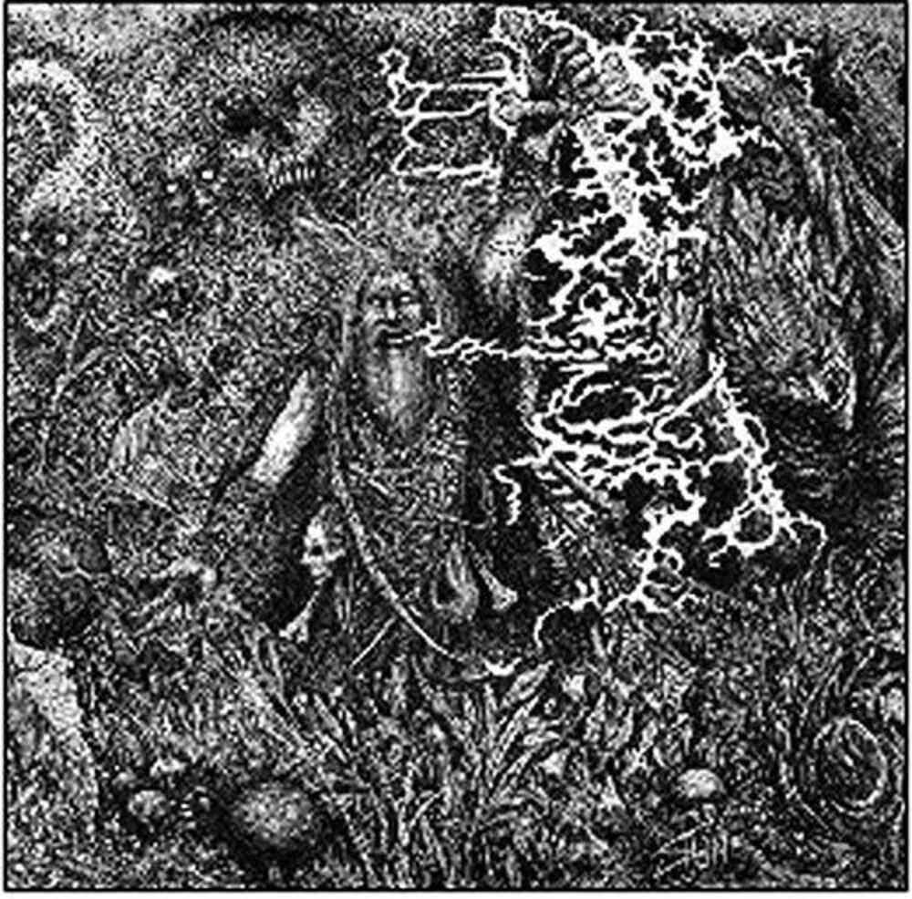 Animist [LP]