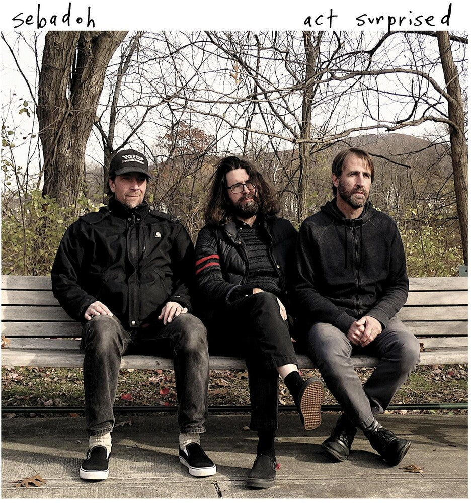 Sebadoh - Act Surprised [LP] Vinyl Record