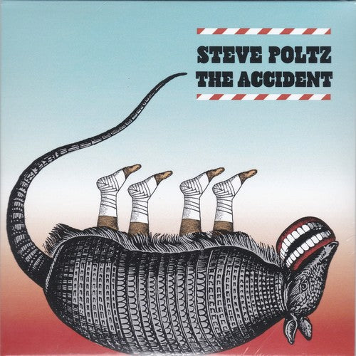 Steve Poltz - The Accident Music CD