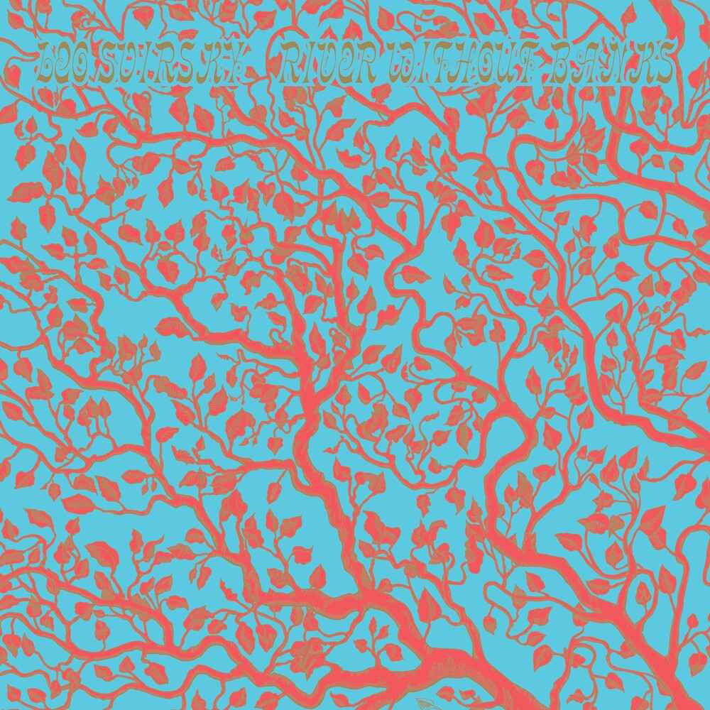 River Without Banks [LP]