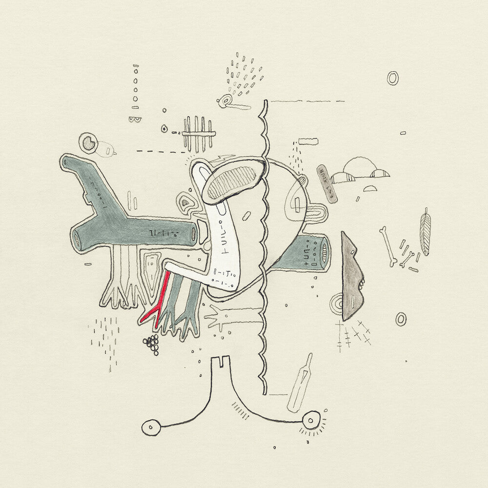 Tiny Changes: Celebration Of Frightened Rabbit's 'The Midnight OrganFight' [LP]