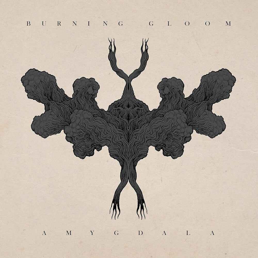 Amygdala [LP]