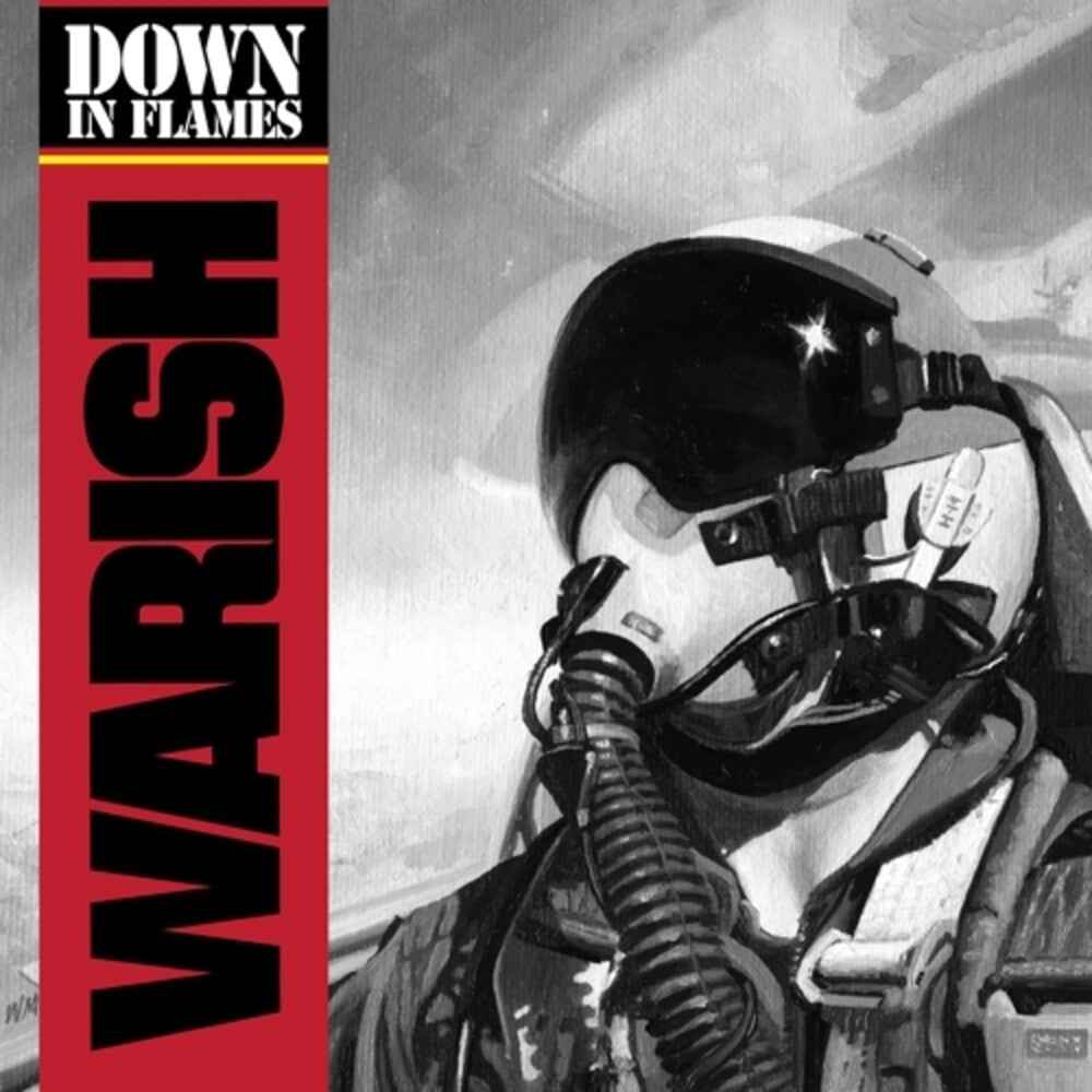 Down In Flames [LP]
