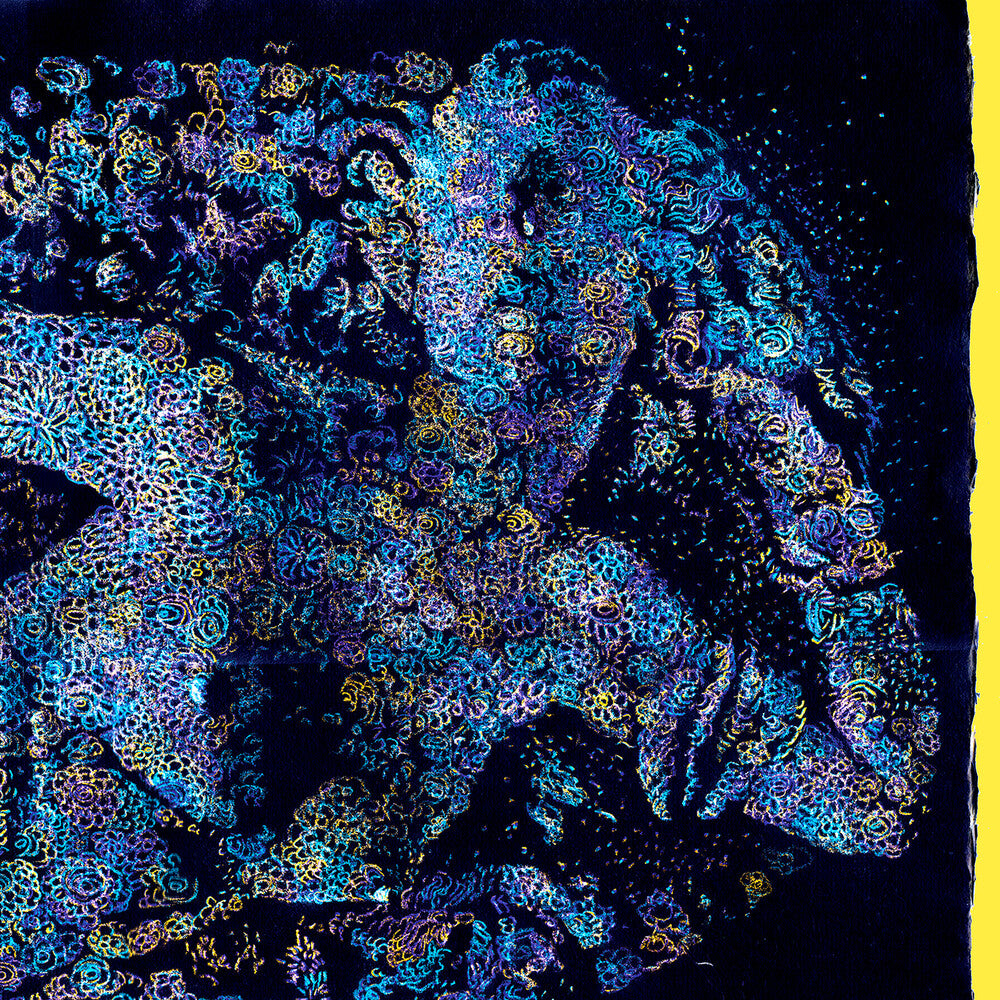 Francois Atlas - Les Fleurs du Mal [LP] Vinyl Record