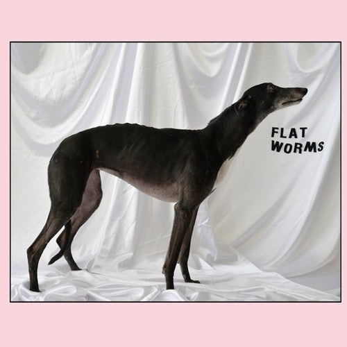 Flat Worms - Flat Worms [LP] Vinyl Record