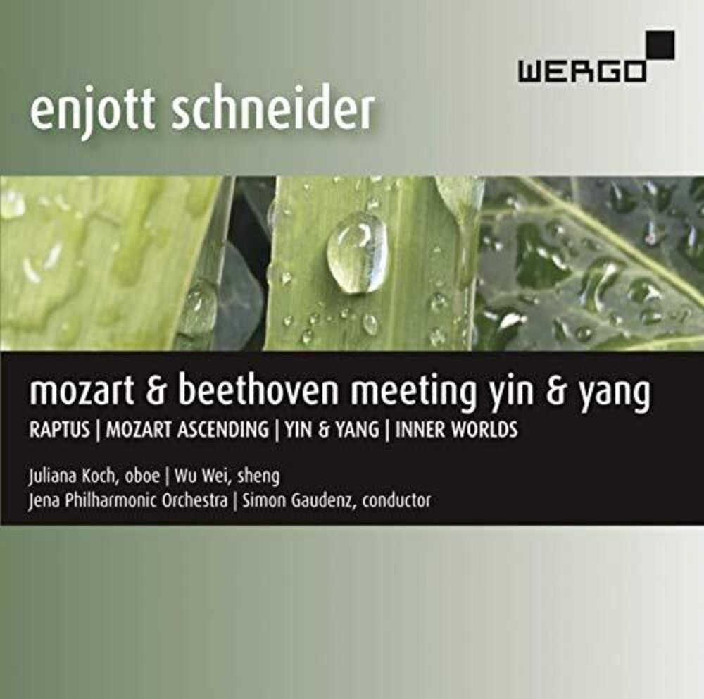 Schneider / Koch / Gaudenz - Meeting Yin & Yang [CD]