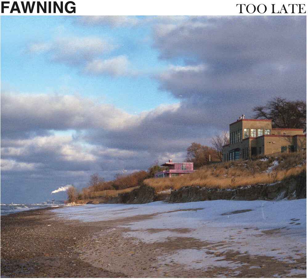 Too Late (Indie Exclusive) [Colored Vinyl] [180 Gram] (Wht)
