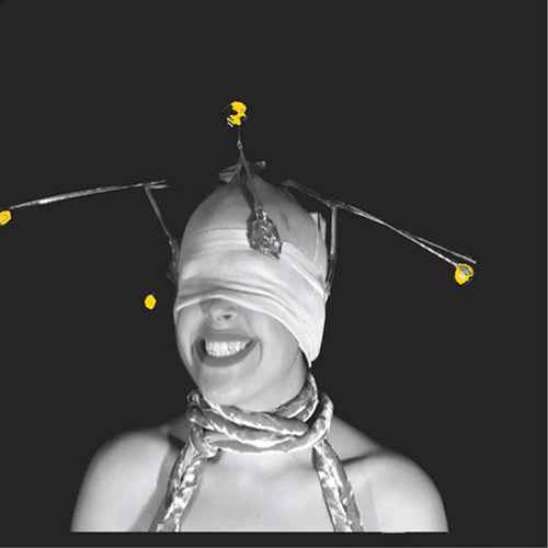 Shimmer [LP]