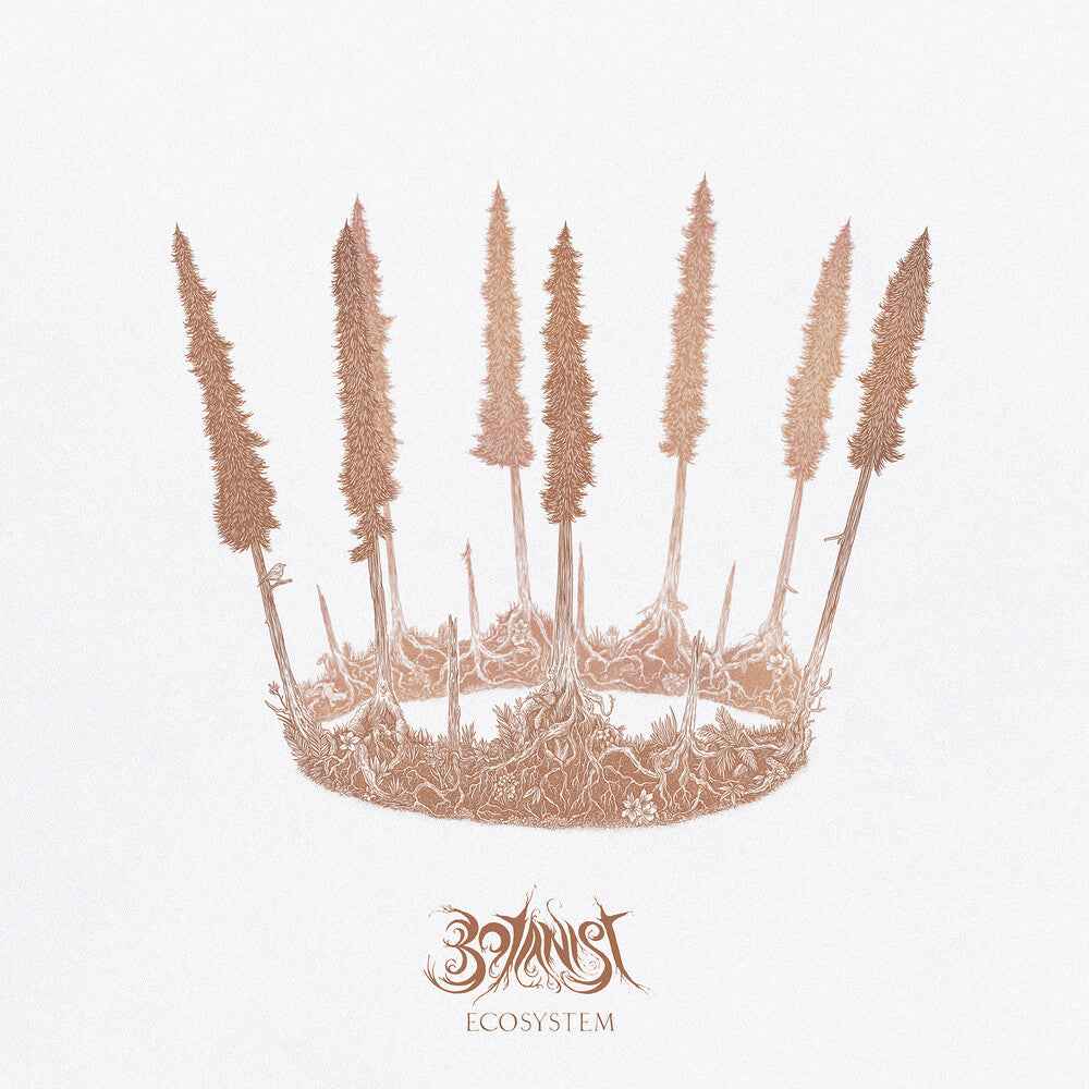 Ecosystem [LP]