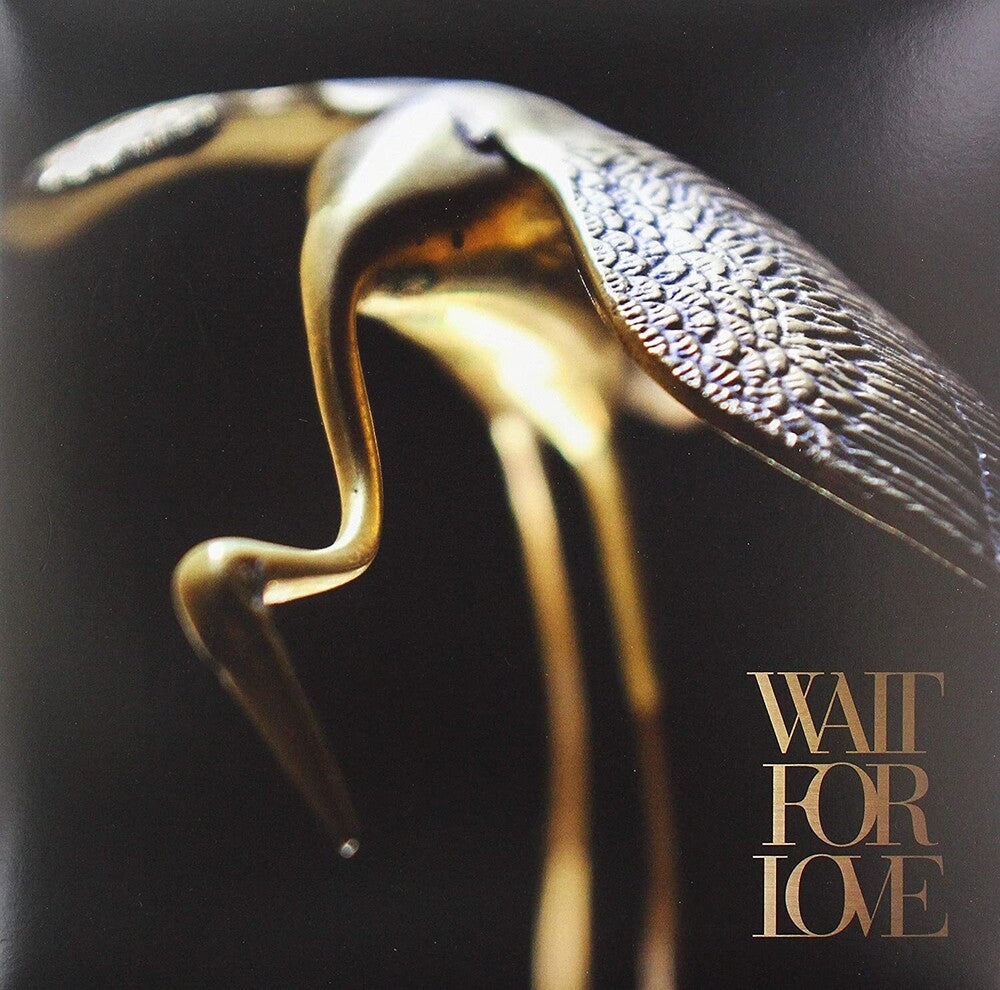 Pianos Become The Teeth - Wait For Love [LP] Vinyl Record