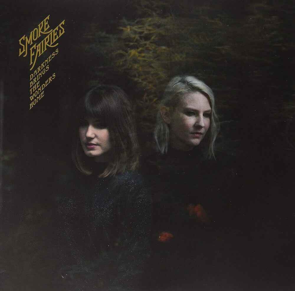 Darkness Brings The Wonders Home (Indie Exclusive) [LP]