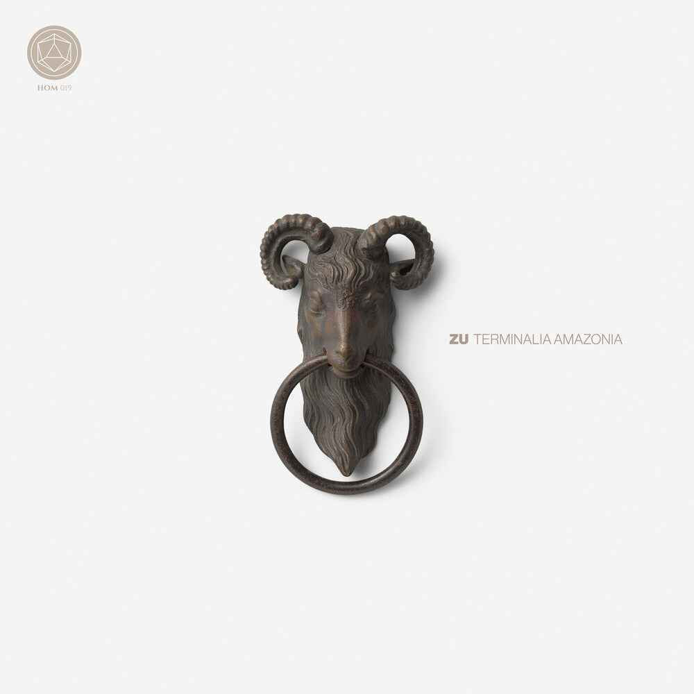 Terminalia Amazonia [LP]