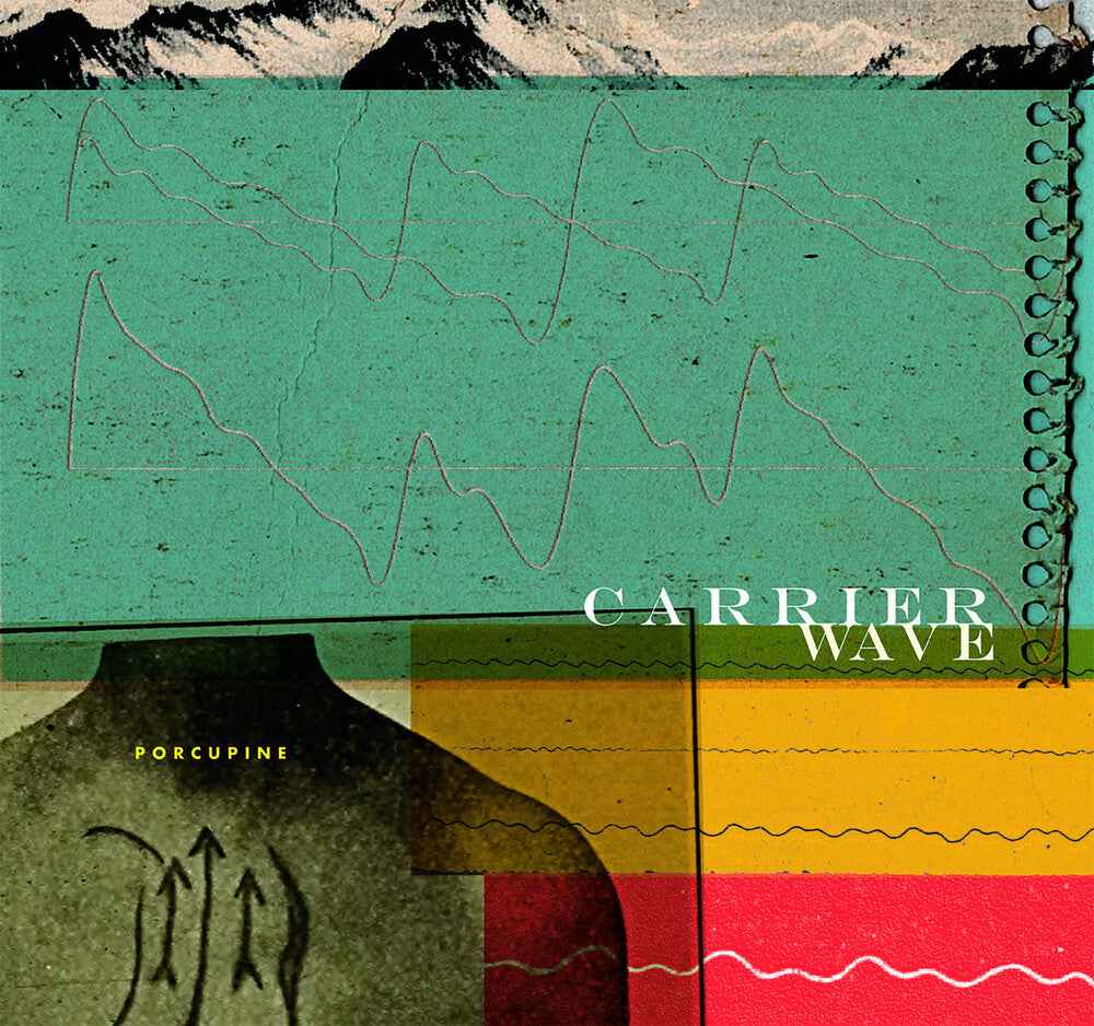 Carrier Wave (Bonus Tracks) [Limited Edition] [Download Included]
