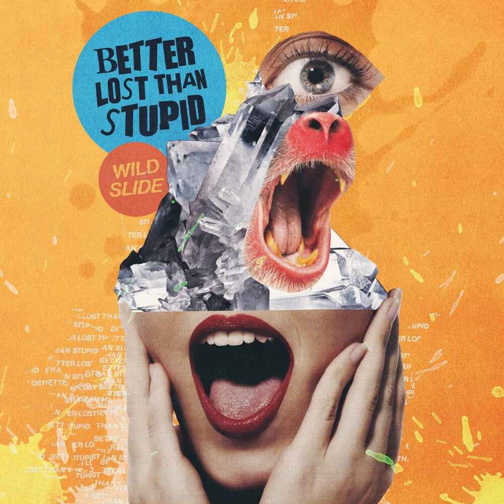 Wild Slide [LP]