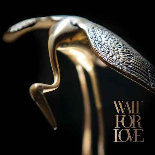 Wait For Love [LP]