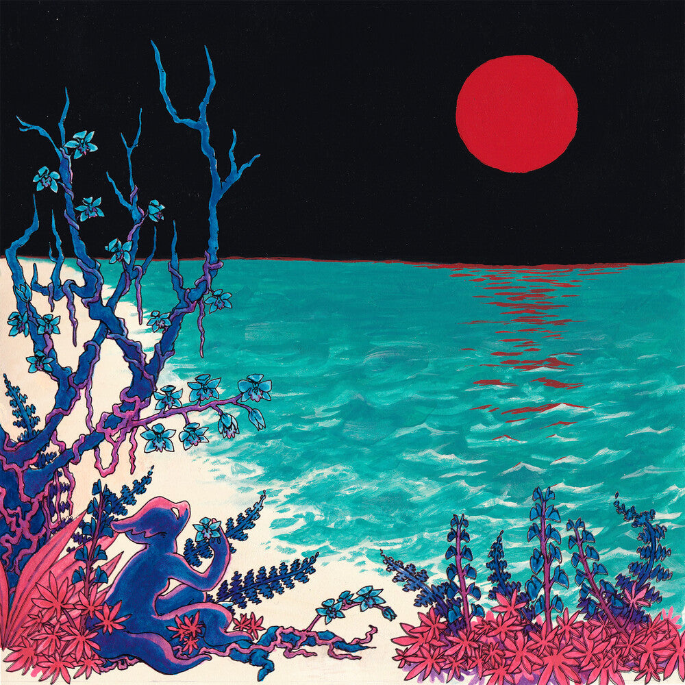 the first glass beach album [CD]