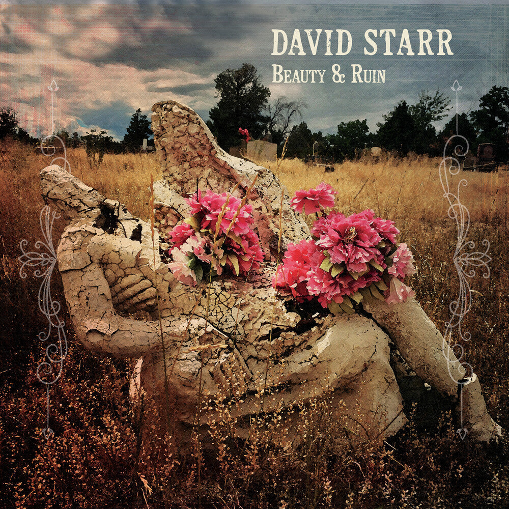 David Starr - Beauty & Ruin [LP] Vinyl Record