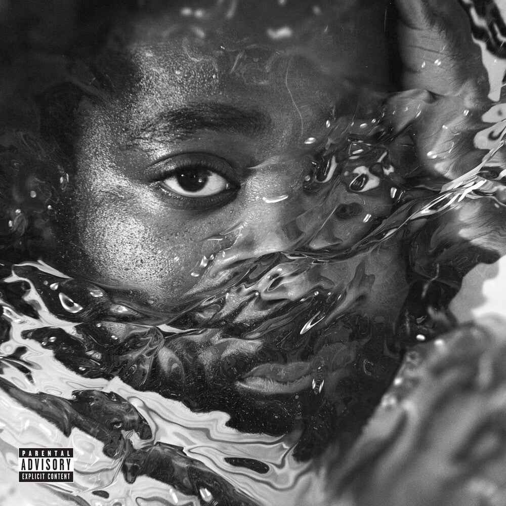 Surfacing [LP]