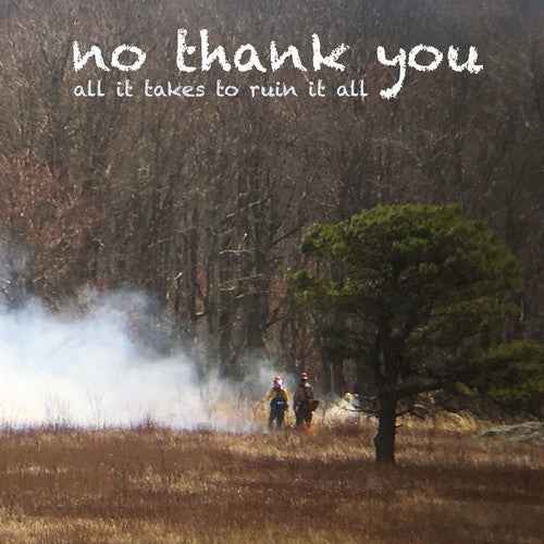 All It Takes To Ruin It All [LP]