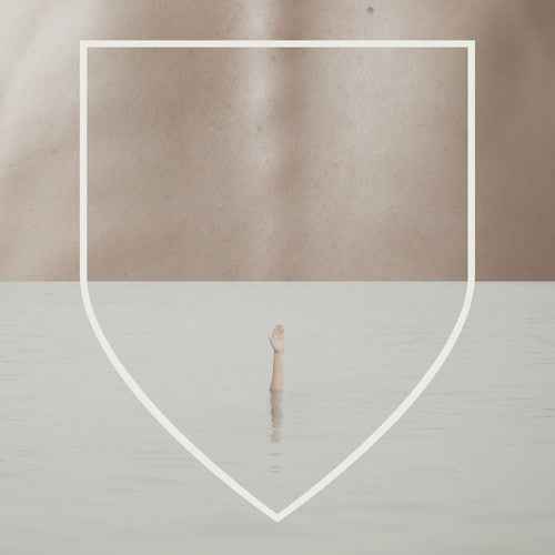 Arms Of A Dream [LP]