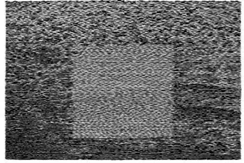 Grid Of Points [CD]