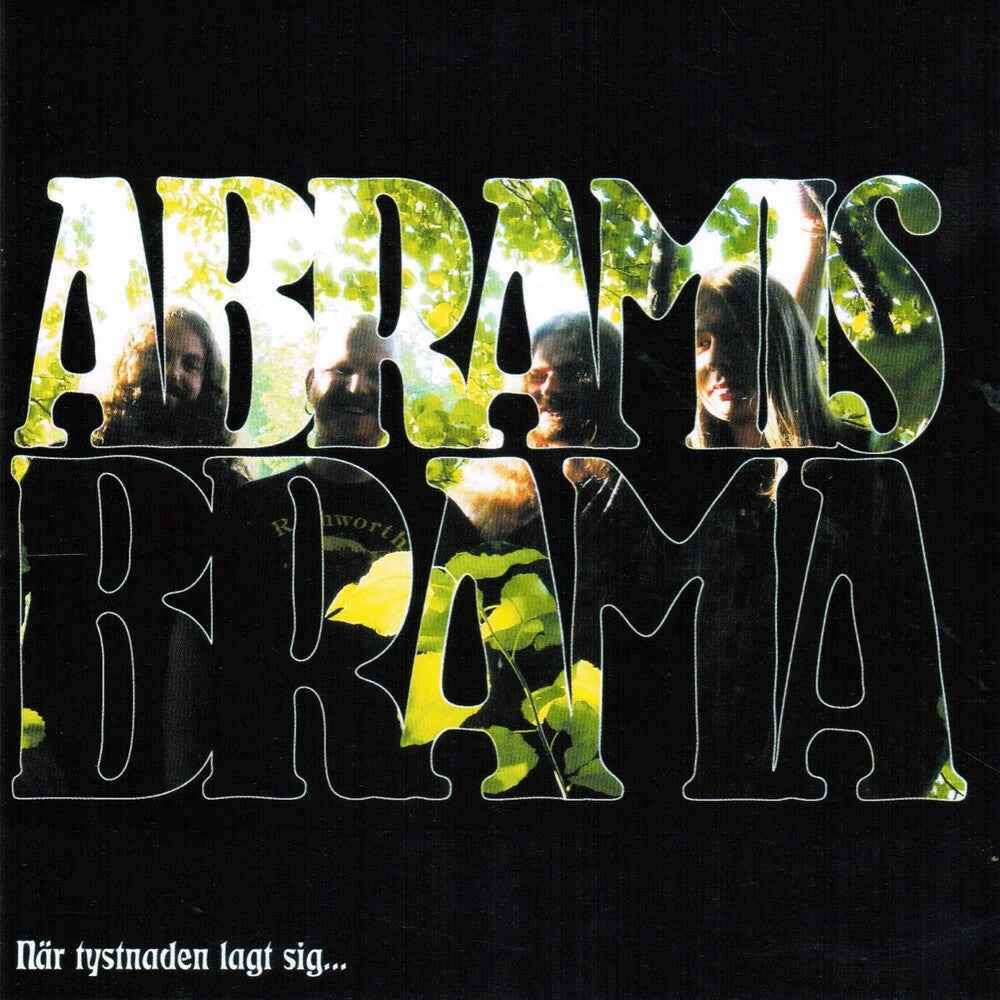 Ndr Tystnaden Lagt Sig + Slipmat [LP]