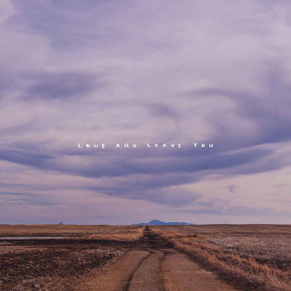 Love And Leave You [LP]